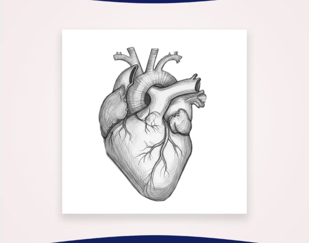 Heart Drawing