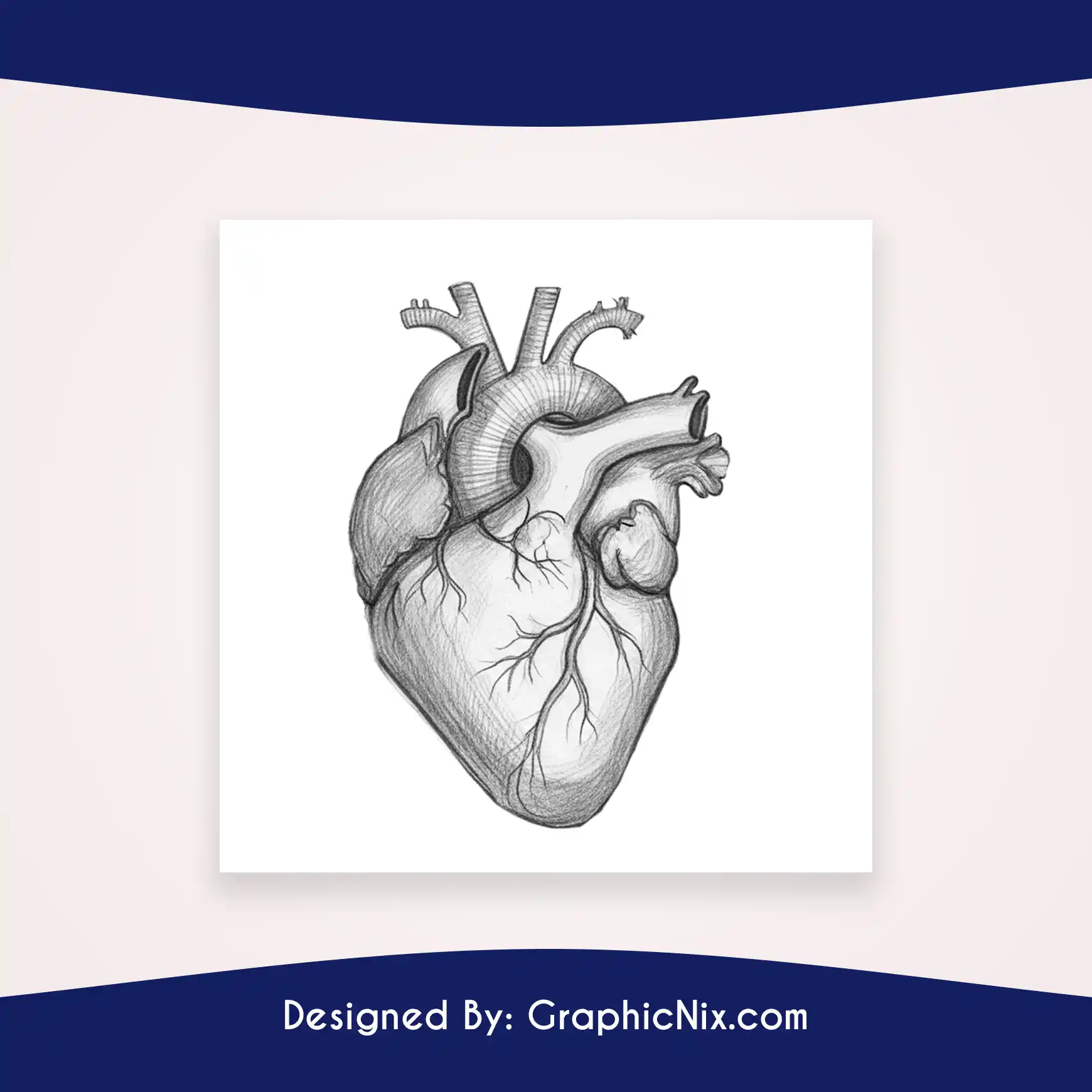 Heart Drawing