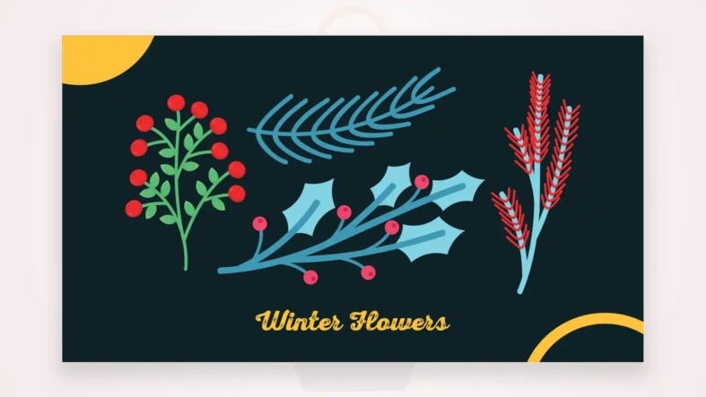 Winter Flowers